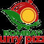 Bombay Curry Pizza